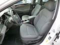 Porcelain White Pearl - Sonata Hybrid Photo No. 15