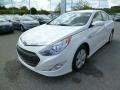 Porcelain White Pearl - Sonata Hybrid Photo No. 3