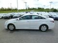 Porcelain White Pearl - Sonata Hybrid Photo No. 4