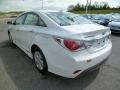 Porcelain White Pearl - Sonata Hybrid Photo No. 5