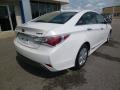Porcelain White Pearl - Sonata Hybrid Photo No. 7