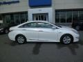 Porcelain White Pearl - Sonata Hybrid Photo No. 8