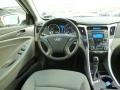 Porcelain White Pearl - Sonata Hybrid Photo No. 14
