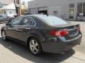 Graphite Luster Pearl - TSX Sedan Photo No. 6