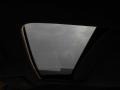 Graphite Luster Pearl - TSX Sedan Photo No. 15