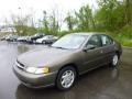 1999 Brushed Pewter Metallic Nissan Altima GXE  photo #1