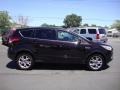 Kodiak Brown Metallic - Escape SEL 1.6L EcoBoost Photo No. 8