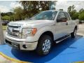 2014 Ingot Silver Ford F150 XLT SuperCab  photo #1