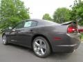 Granite Crystal Metallic - Charger SE Photo No. 2