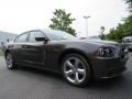 Granite Crystal Metallic - Charger SE Photo No. 4