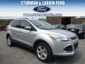 2014 Ingot Silver Ford Escape SE 1.6L EcoBoost 4WD  photo #1