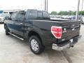 2014 Tuxedo Black Ford F150 XLT SuperCrew  photo #5