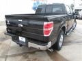 2014 Tuxedo Black Ford F150 XLT SuperCrew  photo #24