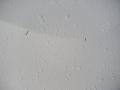 Clear White - Soul 1.6 Photo No. 9
