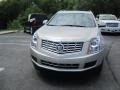 Silver Coast Metallic - SRX Luxury AWD Photo No. 2