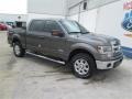 Sterling Grey - F150 XLT SuperCrew 4x4 Photo No. 1