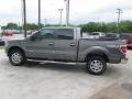 2014 Sterling Grey Ford F150 XLT SuperCrew 4x4  photo #4