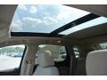 Platinum Ice Tricoat - SRX Luxury Photo No. 10