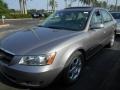 Steel Gray - Sonata GLS V6 Photo No. 4