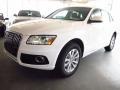 Ibis White - Q5 2.0 TFSI quattro Photo No. 4