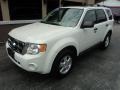White Suede 2011 Ford Escape XLT V6 4WD