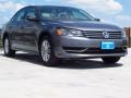 Platinum Gray Metallic 2014 Volkswagen Passat 1.8T S