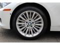 2014 Mineral White Metallic BMW 3 Series 335i xDrive Sedan  photo #31