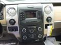 Pale Adobe Controls Photo for 2014 Ford F150 #93945156