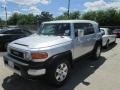 Titanium Metallic - FJ Cruiser  Photo No. 7