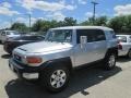 2008 Titanium Metallic Toyota FJ Cruiser   photo #8