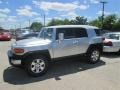 Titanium Metallic - FJ Cruiser  Photo No. 10