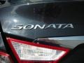 2014 Pacific Blue Pearl Hyundai Sonata GLS  photo #14