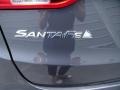 2014 Marlin Blue Hyundai Santa Fe Sport 2.0T FWD  photo #14