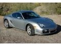 GT Silver Metallic - Cayman S Photo No. 1