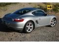 GT Silver Metallic - Cayman S Photo No. 7