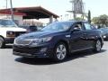 2014 Aurora Black Kia Optima Hybrid EX  photo #6