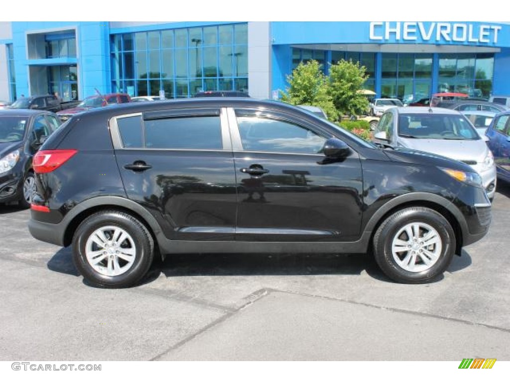 Black Cherry Kia Sportage