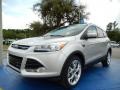 2014 Ingot Silver Ford Escape Titanium 2.0L EcoBoost  photo #1