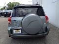 Everglade Metallic - RAV4 Limited 4WD Photo No. 8