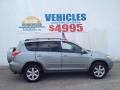 Everglade Metallic - RAV4 Limited 4WD Photo No. 27