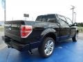 2014 Tuxedo Black Ford F150 Limited SuperCrew  photo #3