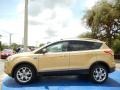 2014 Karat Gold Ford Escape Titanium 1.6L EcoBoost  photo #2