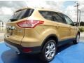 Karat Gold - Escape Titanium 1.6L EcoBoost Photo No. 3