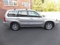 Platinum Silver Metallic - Forester 2.5 XT Photo No. 5