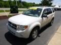 2010 White Suede Ford Escape XLT V6 4WD  photo #4