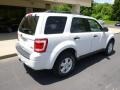 2010 White Suede Ford Escape XLT V6 4WD  photo #8