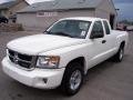 Stone White 2009 Dodge Dakota ST Extended Cab 4x4