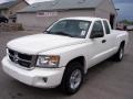 2009 Stone White Dodge Dakota ST Extended Cab 4x4  photo #1