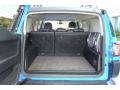 Voodoo Blue - FJ Cruiser 4WD Photo No. 17