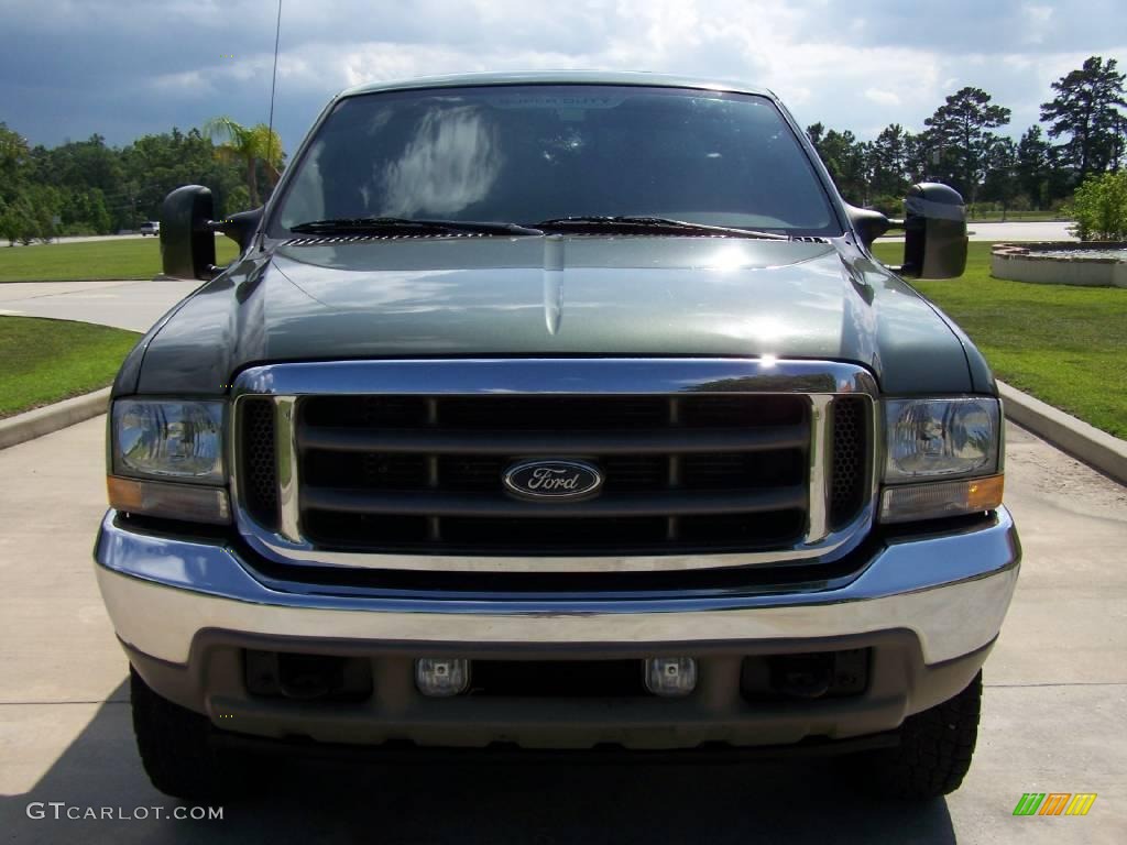 2004 F250 Super Duty King Ranch Crew Cab 4x4 - Estate Green Metallic / Castano Leather photo #8